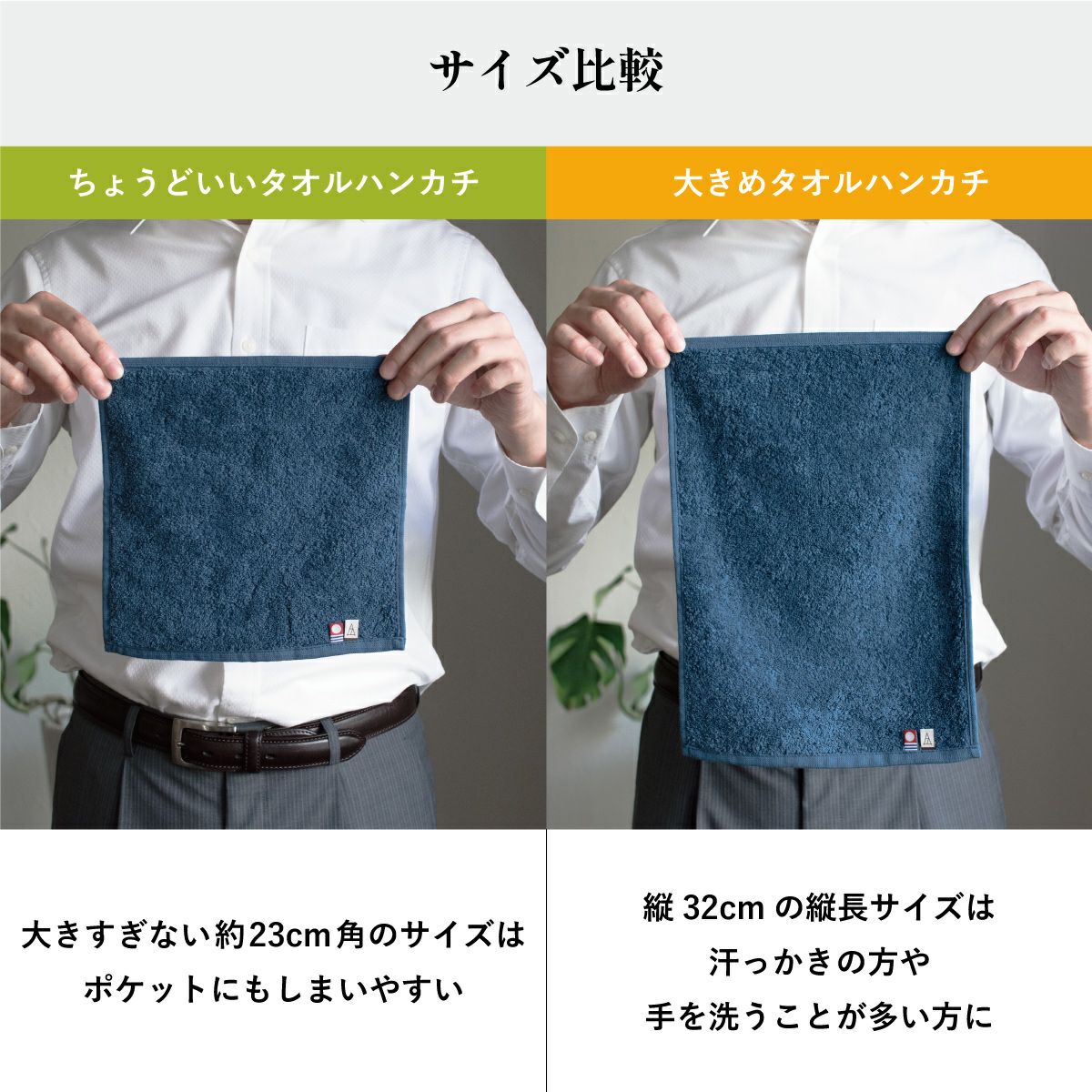 サイズ比較