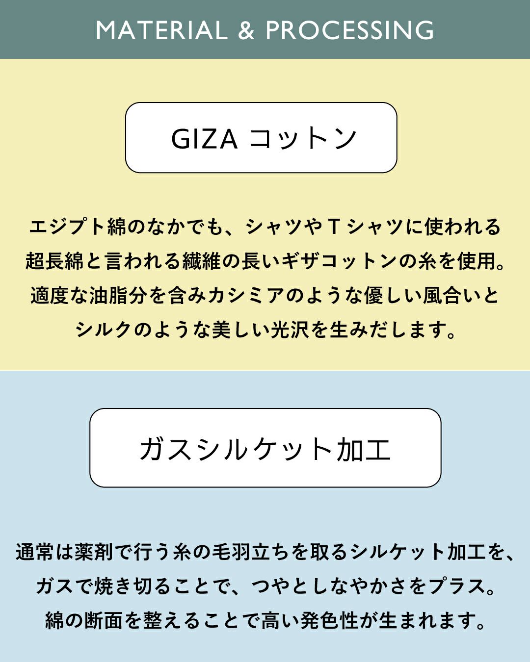 GIZAコットン ガスシルケット加工