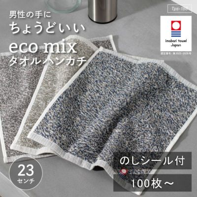 ecomix タオルハンカチ 6枚セット 今治タオル ハンカチ 23cm角 tps-188